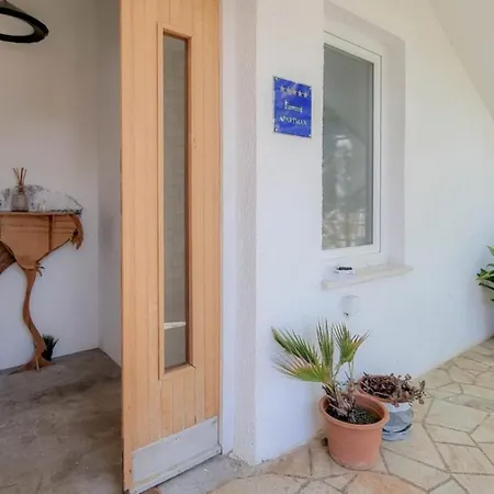 Arte No5 Novigrad Istria
